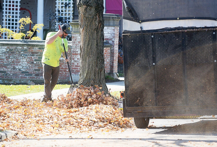 Fall cleanup | News, Sports, Jobs - Altoona Mirror